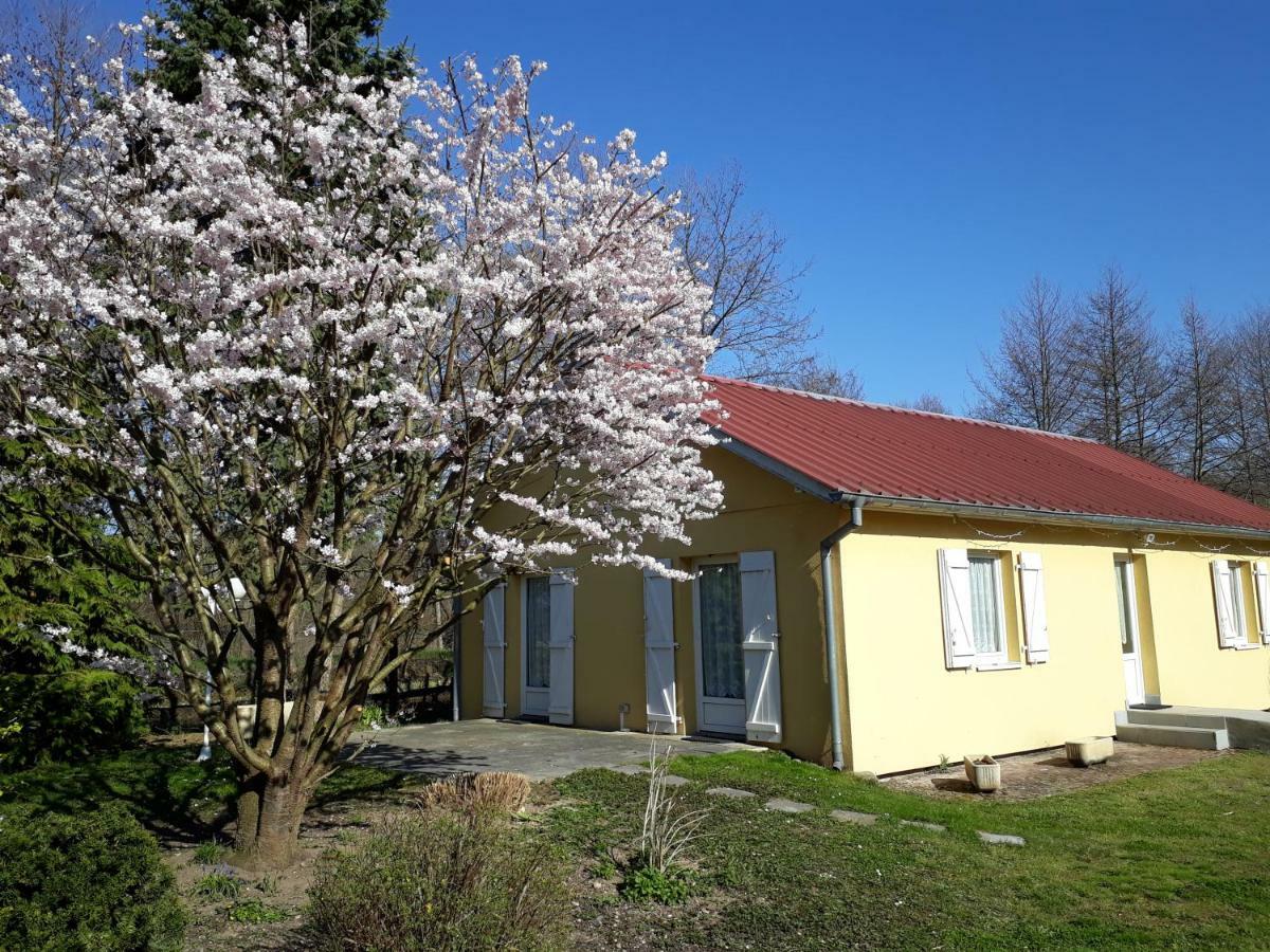 Maison De Manon Illhaeusern Ngoại thất bức ảnh